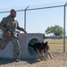 JBSA's Military Working Dogs Demonstrate Obedience Training