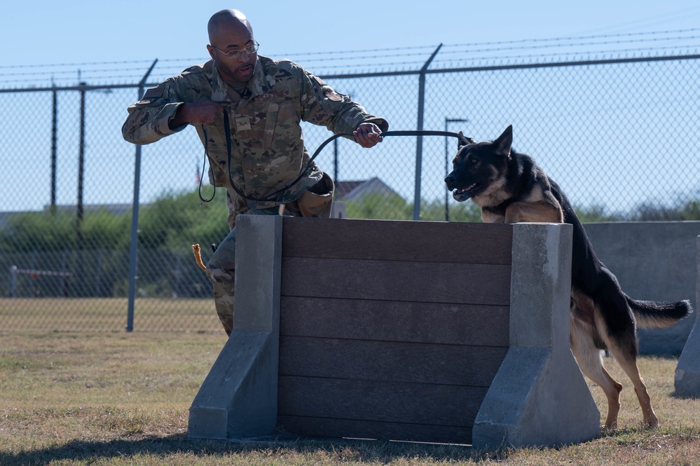 JBSA's Military Working Dogs Demonstrate Obedience Training