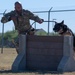 JBSA's Military Working Dogs Demonstrate Obedience Training