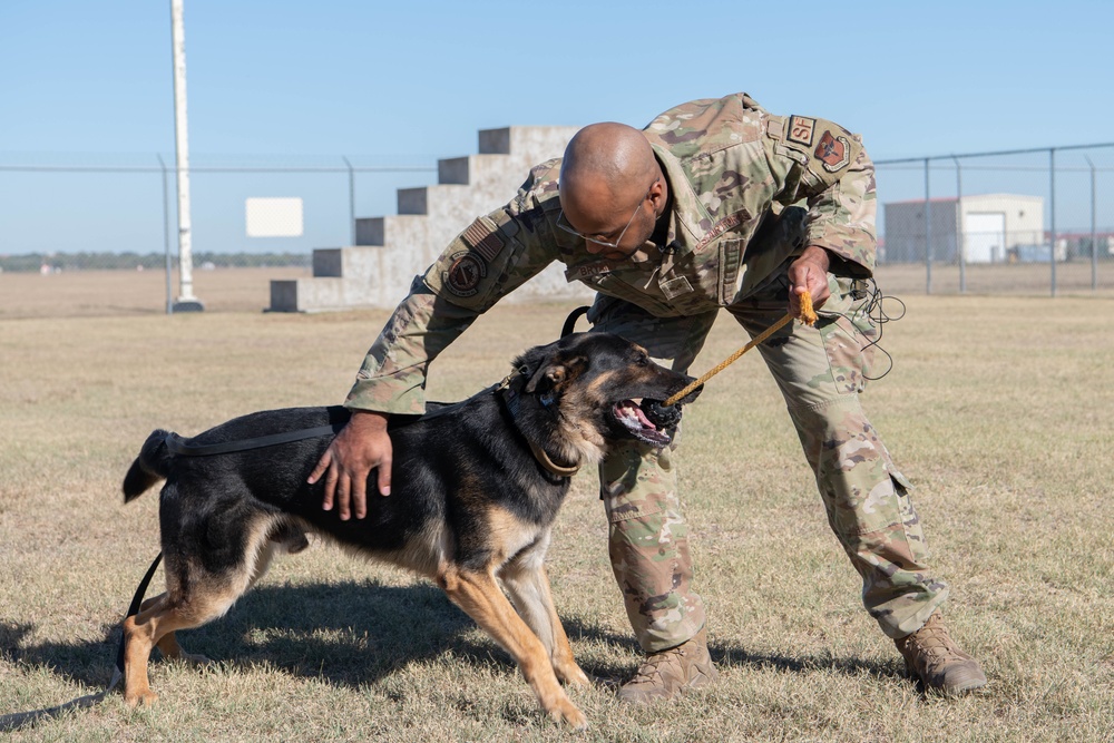 JBSA's Military Working Dogs Demonstrate Obedience Training