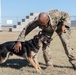 JBSA's Military Working Dogs Demonstrate Obedience Training