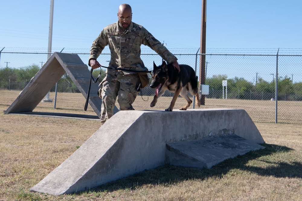 JBSA's Military Working Dogs Demonstrate Obedience Training