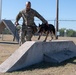 JBSA's Military Working Dogs Demonstrate Obedience Training