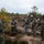 Hammer Through the Fall: U.S. and Finnish Forces Conduct Combined Exercise
