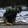 Hammer Through the Fall: U.S. and Finnish Forces Conduct Combined Exercise