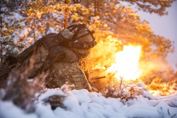 Hammer Through the Fall: U.S. and Finnish Forces Conduct Combined Exercise