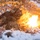 Hammer Through the Fall: U.S. and Finnish Forces Conduct Combined Exercise