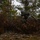 Hammer Through the Fall: U.S. and Finnish Forces Conduct Combined Exercise