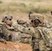 37th Infantry Brigade Combat Team Soldiers conduct live-fire training exercise