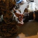 Exercise Active Shield 2022: US Marines respond to simulated military working dog injuries