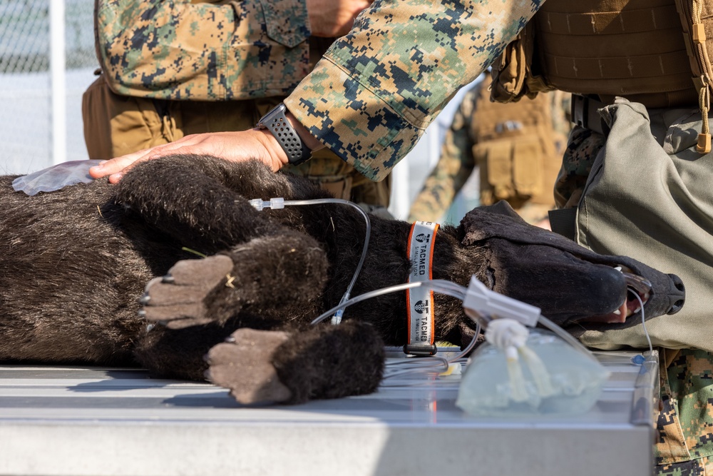 Exercise Active Shield 2022: US Marines respond to simulated military working dog injuries