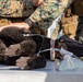 Exercise Active Shield 2022: US Marines respond to simulated military working dog injuries
