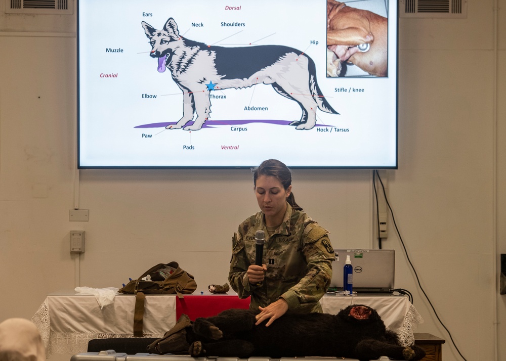 Tropical medicine course brings together allied, U.S. medical professionals in Djibouti