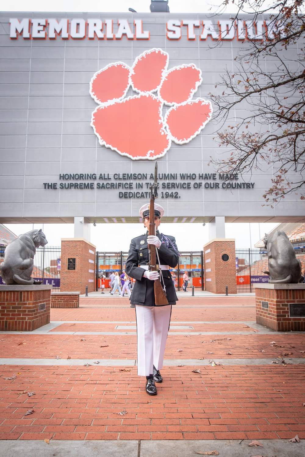 Honor guard vertical