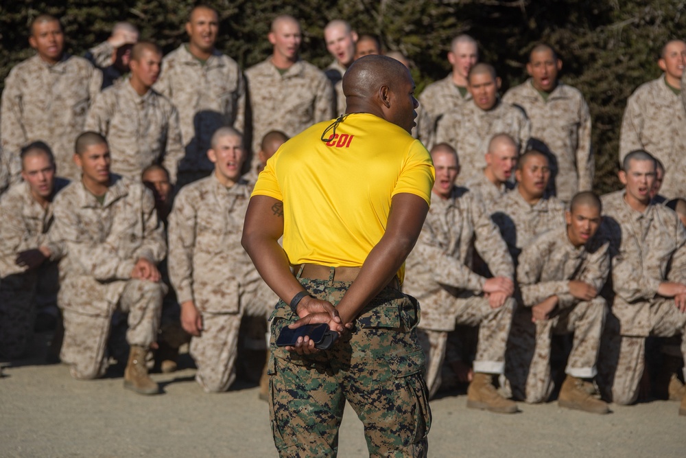 Fox Company Log Drills