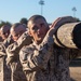 Fox Company Log Drills
