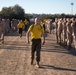 Fox Company Log Drills