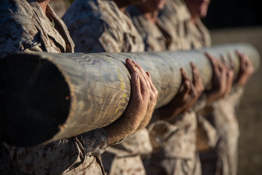 Fox Company Log Drills