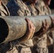 Fox Company Log Drills