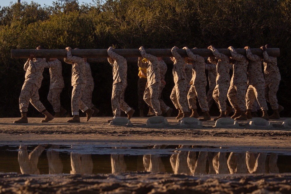 Fox Company Log Drills
