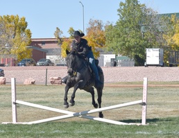 Cavalry training for MCGs