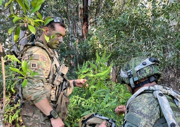 Philippine Army shares camouflaging techniques with SFAB Advisor