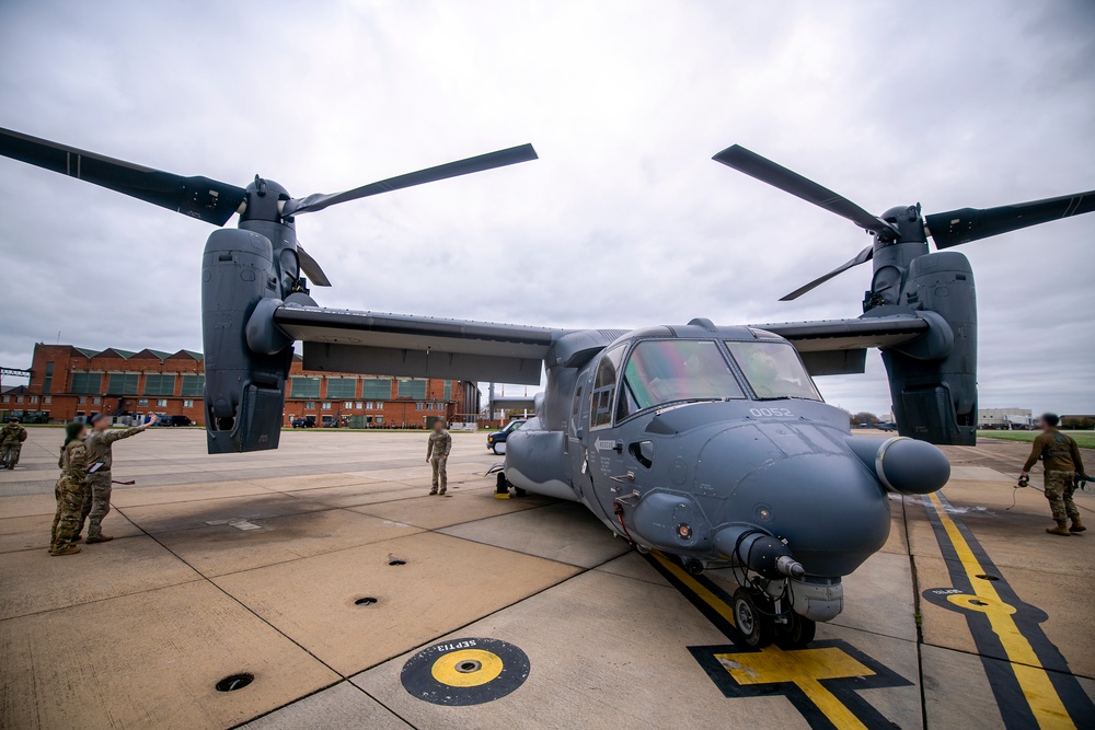 Osprey spreads wings over Cambridge Veterans Day ceremony