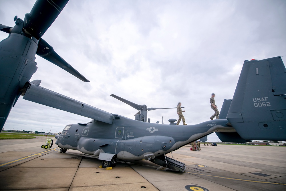 Osprey spreads wings over Cambridge Veterans Day ceremony