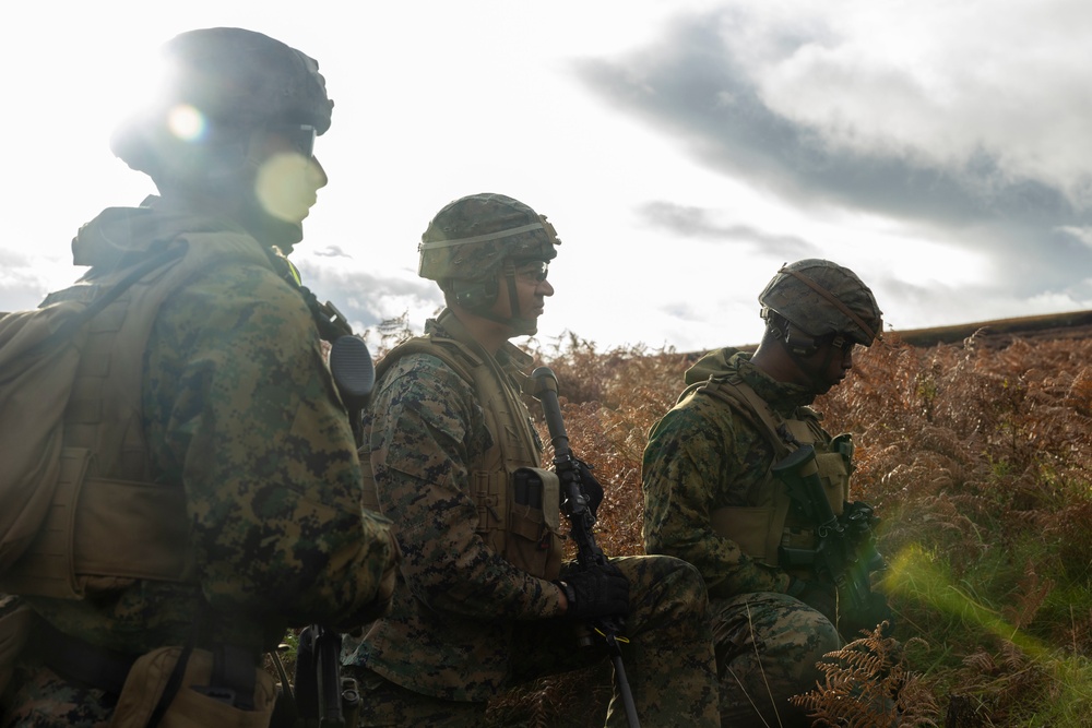 Exercise Tartan Eagle Phase II - Fireteam and Squad Assault