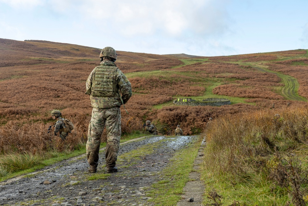 Exercise Tartan Eagle Phase II - Fireteam and Squad Assault