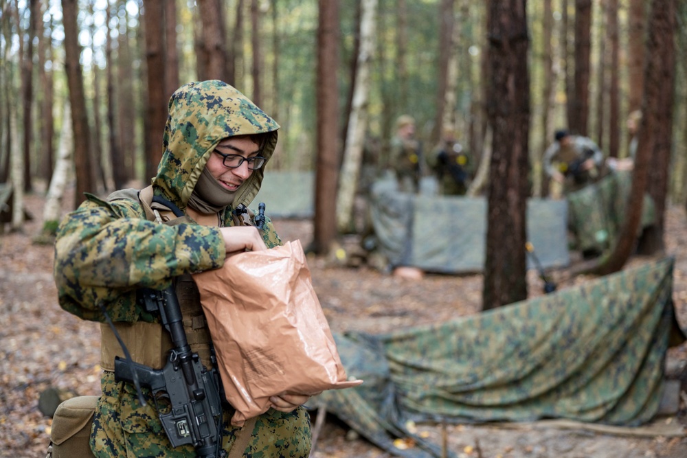 Exercise Tartan Eagle Phase II - Camouflage and Concealment