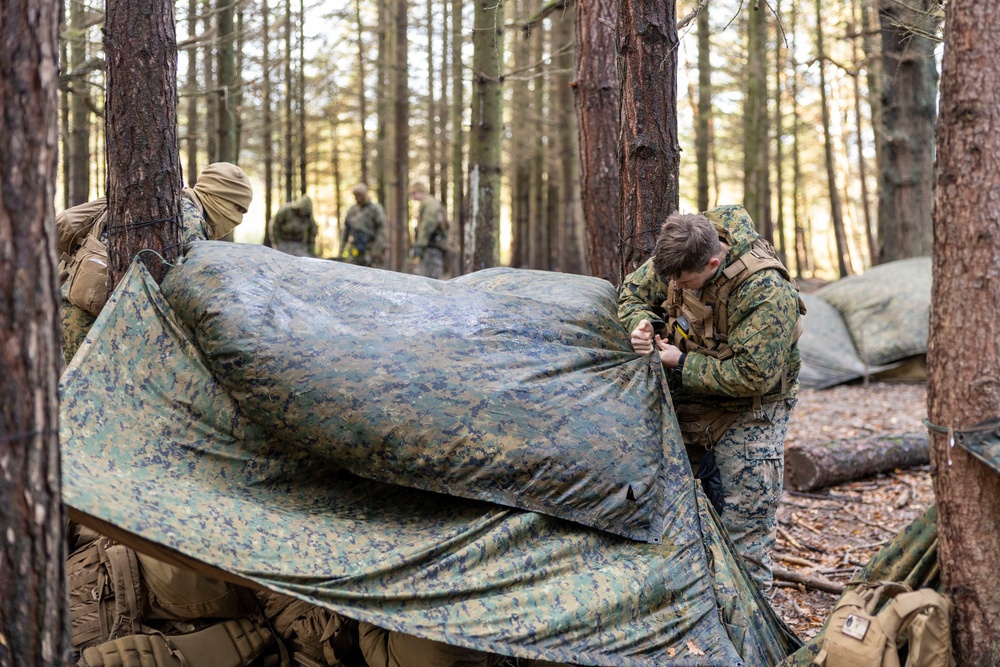 Exercise Tartan Eagle Phase II - Camouflage and Concealment