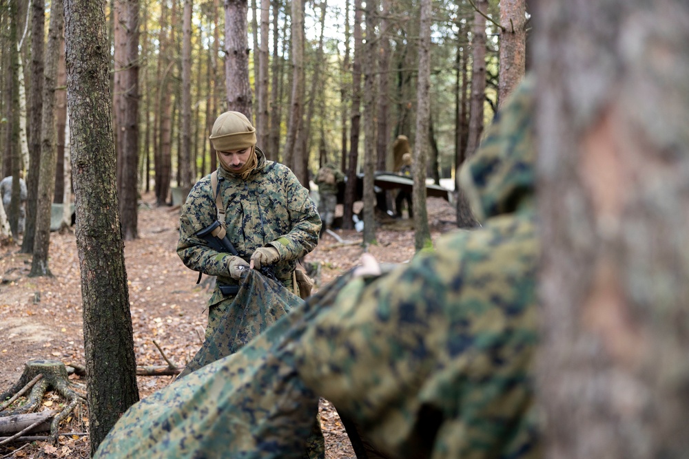 Exercise Tartan Eagle Phase II - Camouflage and Concealment