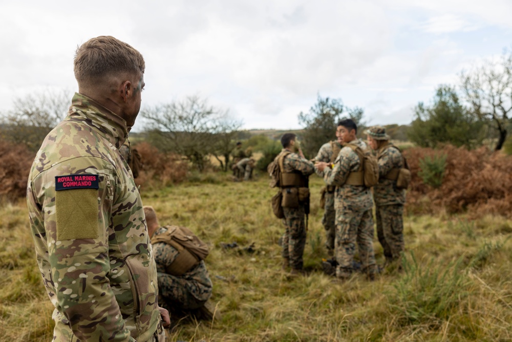 Exercise Tartan Eagle Phase II - Camouflage and Concealment