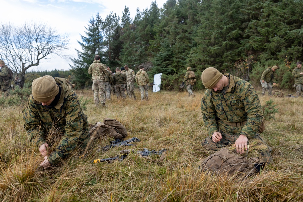 Exercise Tartan Eagle Phase II - Camouflage and Concealment