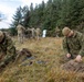 Exercise Tartan Eagle Phase II - Camouflage and Concealment