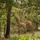 MSGs go on a safari in the Gambia