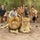 MSGs go on a safari in the Gambia