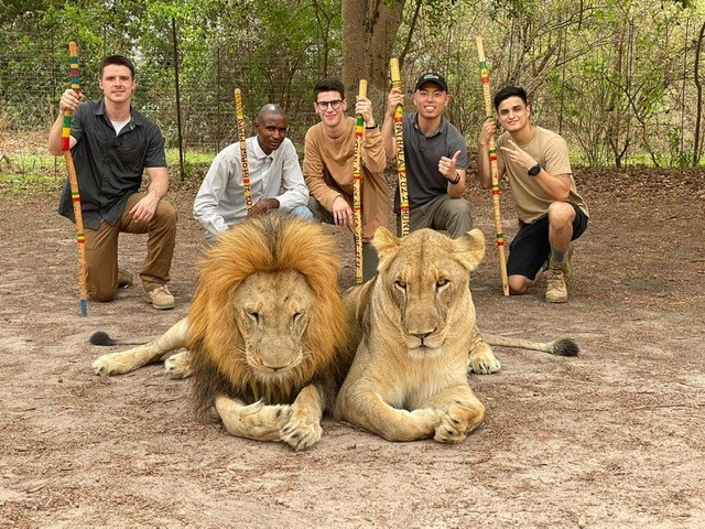 MSGs go on a safari in the Gambia