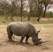 MSGs go on a safari in the Gambia