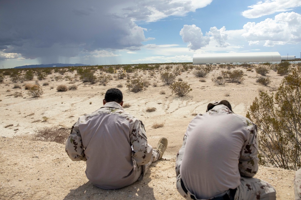 United Arab Emirates Presidential Guard trains with 3rd LAR