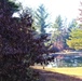 Fort McCoy’s Pine View Campground