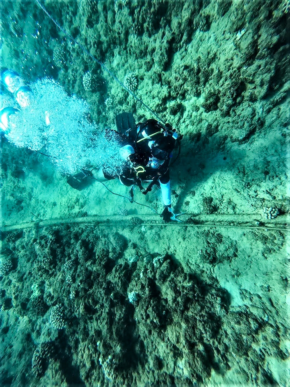 Soldiers from 7th Dive Detachment, 130th Engineer Brigade, conduct SCUBA diving operations at Pacific Missile Range Facility, Kauai, Hawaii