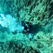 Soldiers from 7th Dive Detachment, 130th Engineer Brigade, conduct SCUBA diving operations at Pacific Missile Range Facility, Kauai, Hawaii