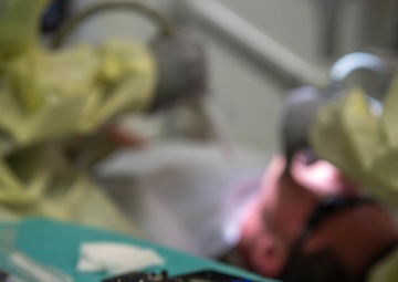 86th DS puts ‘bite in the fight’