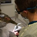86th DS puts ‘bite in the fight’