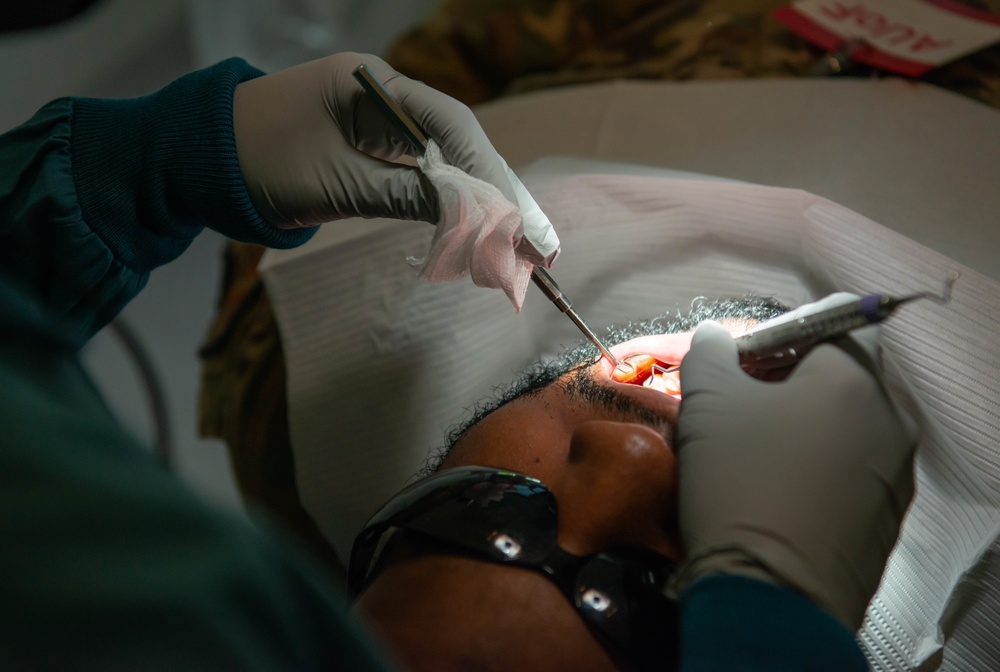 86th DS puts ‘bite in the fight’