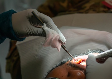 86th DS puts ‘bite in the fight’