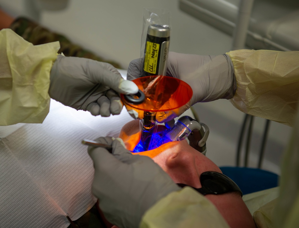 86th DS puts ‘bite in the fight’