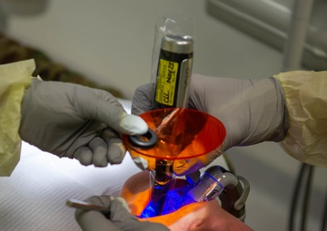 86th DS puts ‘bite in the fight’